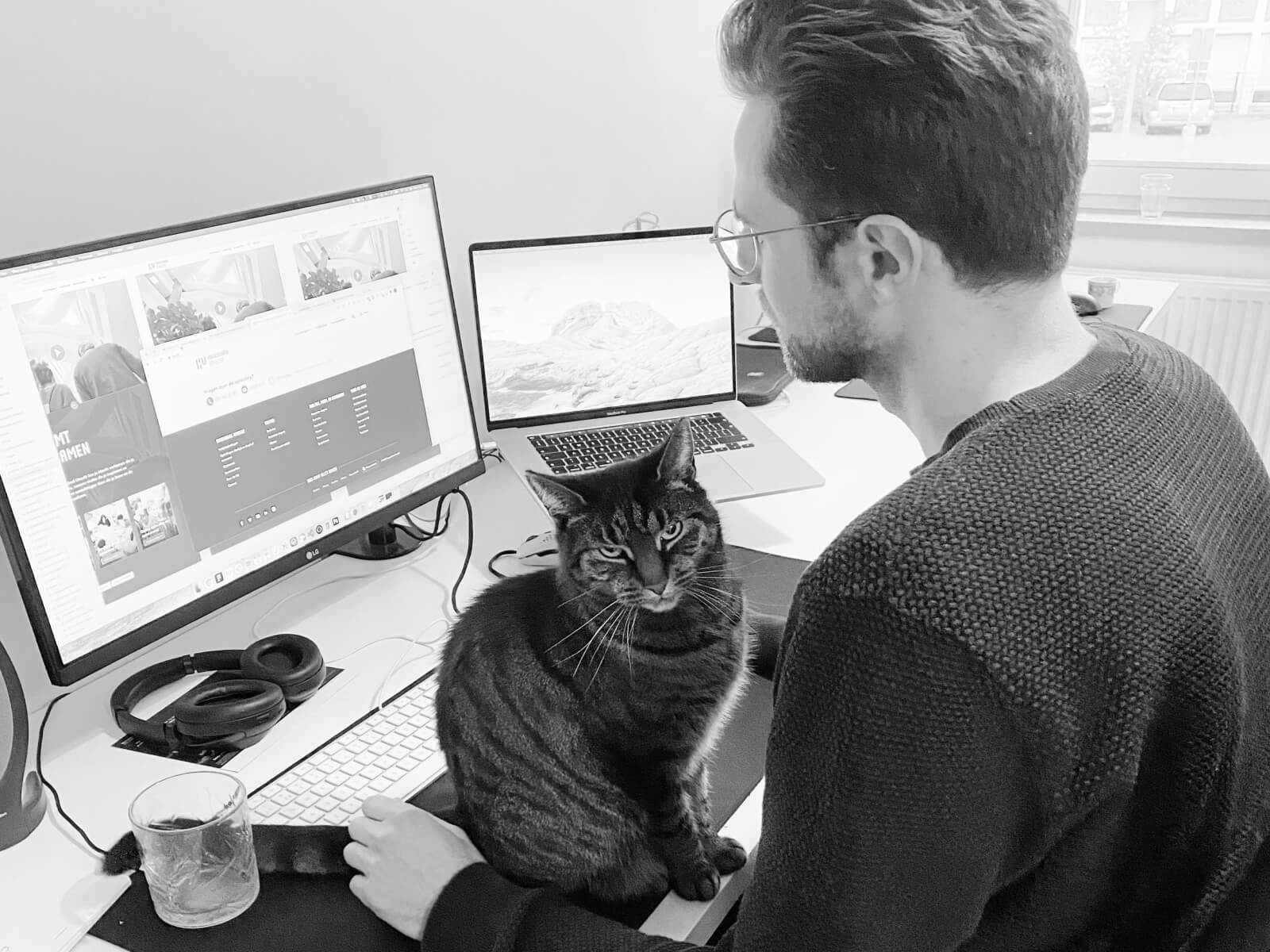 Sokje (my cat) on my desk while I'm working